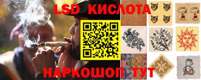 стаф Малгобек