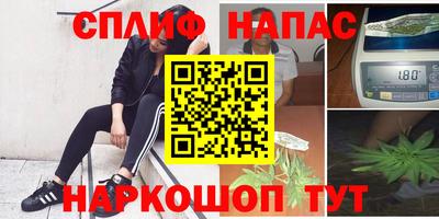стаф Малгобек