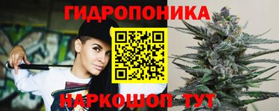 стаф Малгобек